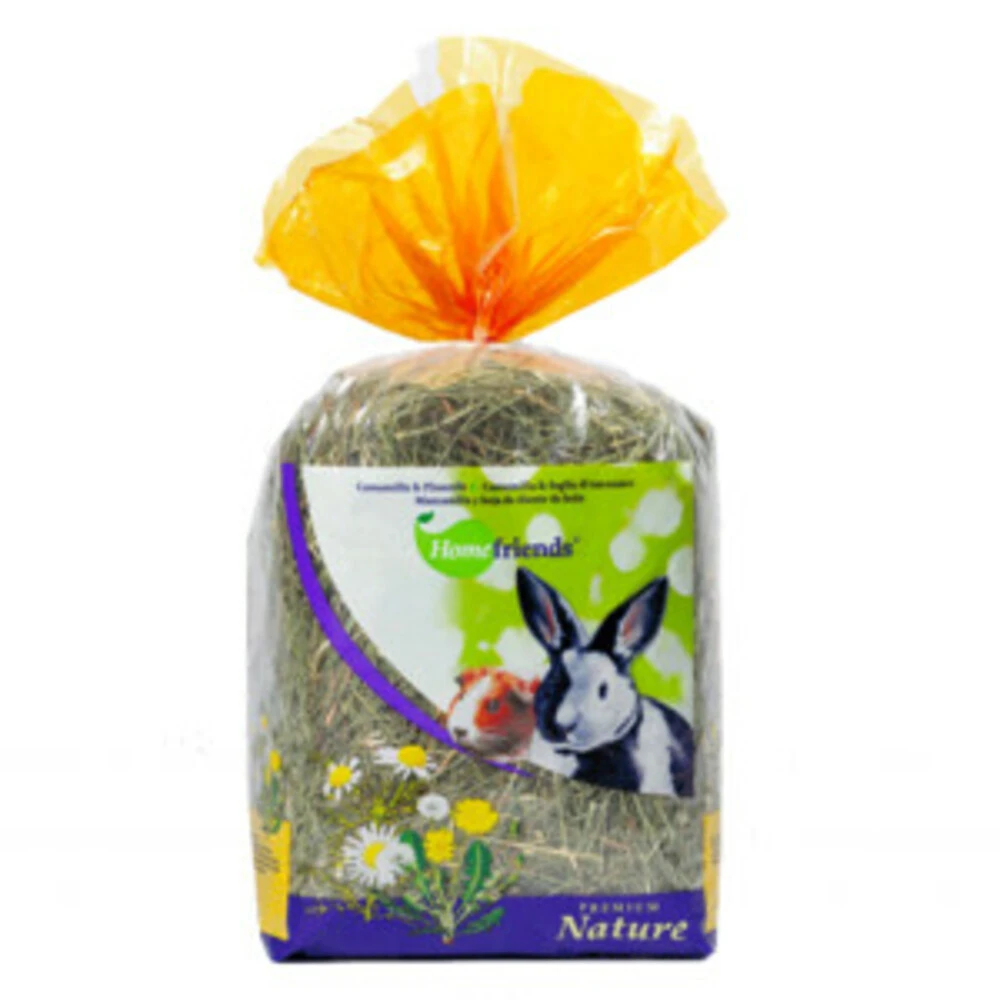 6x Home Friends Kruidenhooi Wortel - Echinacea 4 6x Home Friends Kruidenhooi Wortel - Echinacea - Afbeelding 2