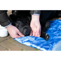 Coolpets Premium Koelmat M 9 Coolpets Premium Koelmat M -Dierenbenodigdheden Winkel 1002984 4