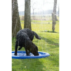 Coolpets Splash Pool Sproeier -Dierenbenodigdheden Winkel 1002988 3