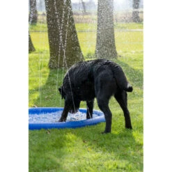 Coolpets Splash Pool Sproeier -Dierenbenodigdheden Winkel 1002988 4