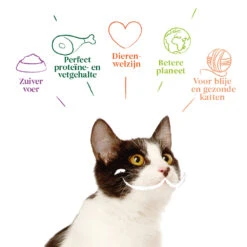 8x Yarrah Bio Kattenvoer Multipack Paté Graanvrij Zalm - Zeewier -Dierenbenodigdheden Winkel 1003008 4