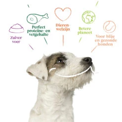 4x Yarrah Bio Hondenvoer Multipack Paté Graanvrij Rund - Kip -Dierenbenodigdheden Winkel 1003009 4