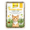 12x GimCat Hydro-Gras -Dierenbenodigdheden Winkel 1003280