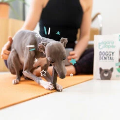 4x Edgard & Cooper Doggy Dental Sticks Aardbei - Frisse Muntolie -Dierenbenodigdheden Winkel 1004980 4