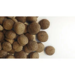 Content Hondenvoer Adult -Dierenbenodigdheden Winkel 1005516 2