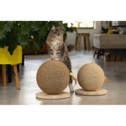 Designed By Lotte Krabbol Balty XL -Dierenbenodigdheden Winkel 1005517 4