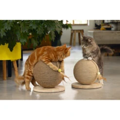 Designed By Lotte Krabbol Balty XL -Dierenbenodigdheden Winkel 1005517 6