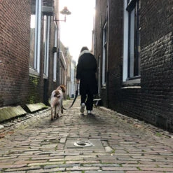 Trailstone Leash Dispenser 9 Trailstone Leash Dispenser -Dierenbenodigdheden Winkel 1005530 4