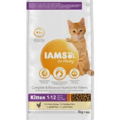Iams Kat Kitten/Junior Kip