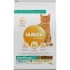 Iams Kat Adult Sterilised - Overweight Kip -Dierenbenodigdheden Winkel 1006429