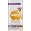 Iams Dog Puppy - Junior Large Kip 1 Iams Dog Puppy - Junior Large Kip -Dierenbenodigdheden Winkel 1006470