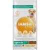 Iams Dog Adult Weight Control Kip -Dierenbenodigdheden Winkel 1006485