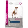 Eukanuba Dog Adult Boxer Kip -Dierenbenodigdheden Winkel 1006597