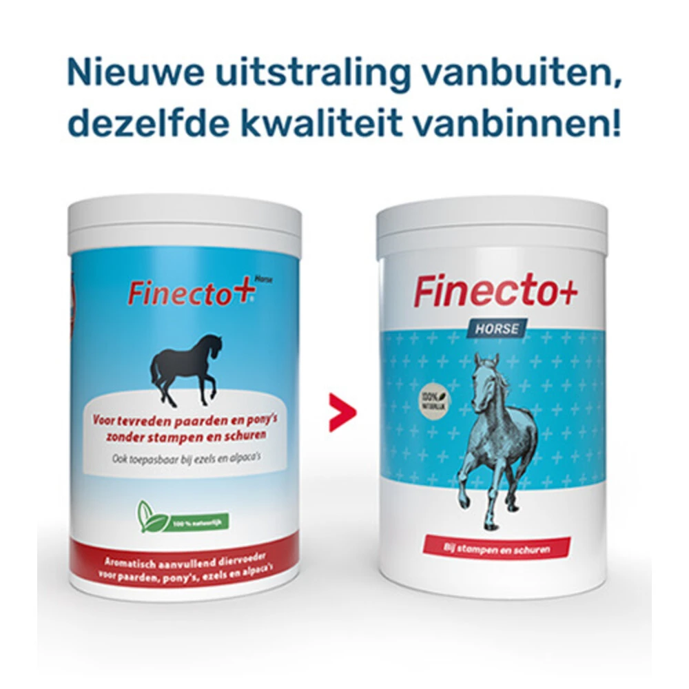 Finecto+ Horse Oral 4 Finecto+ Horse Oral - Afbeelding 2