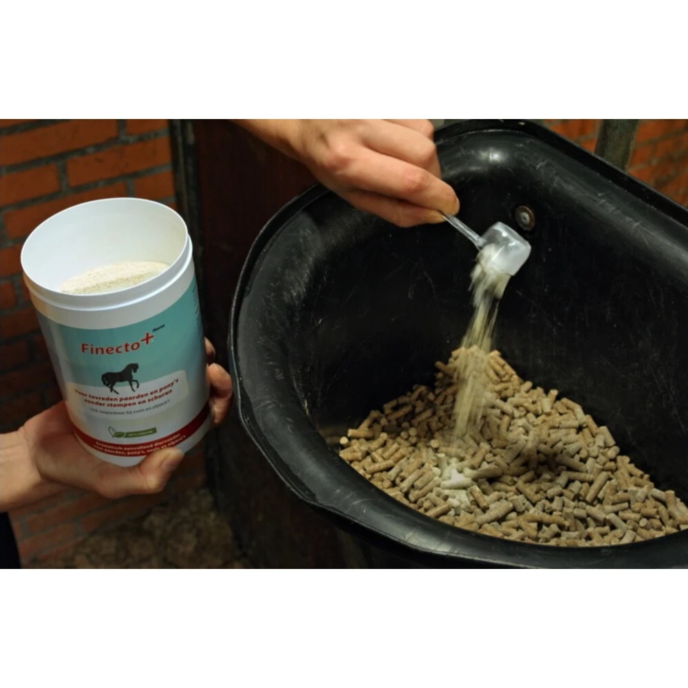 Finecto+ Horse Oral 5 Finecto+ Horse Oral - Afbeelding 3
