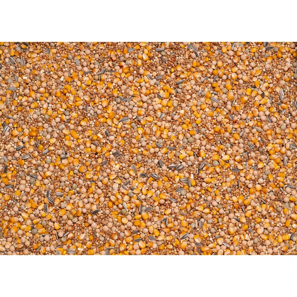 Beyers Basic Racing 4 Beyers Basic Racing - Afbeelding 2