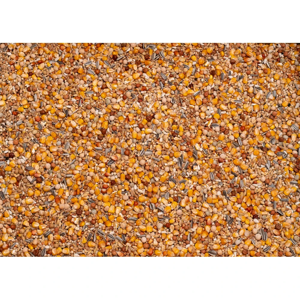 Beyers Basic Rui 4 Beyers Basic Rui - Afbeelding 2