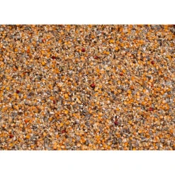 Beyers Original 2 Rui Exclusief -Dierenbenodigdheden Winkel 1007127 2