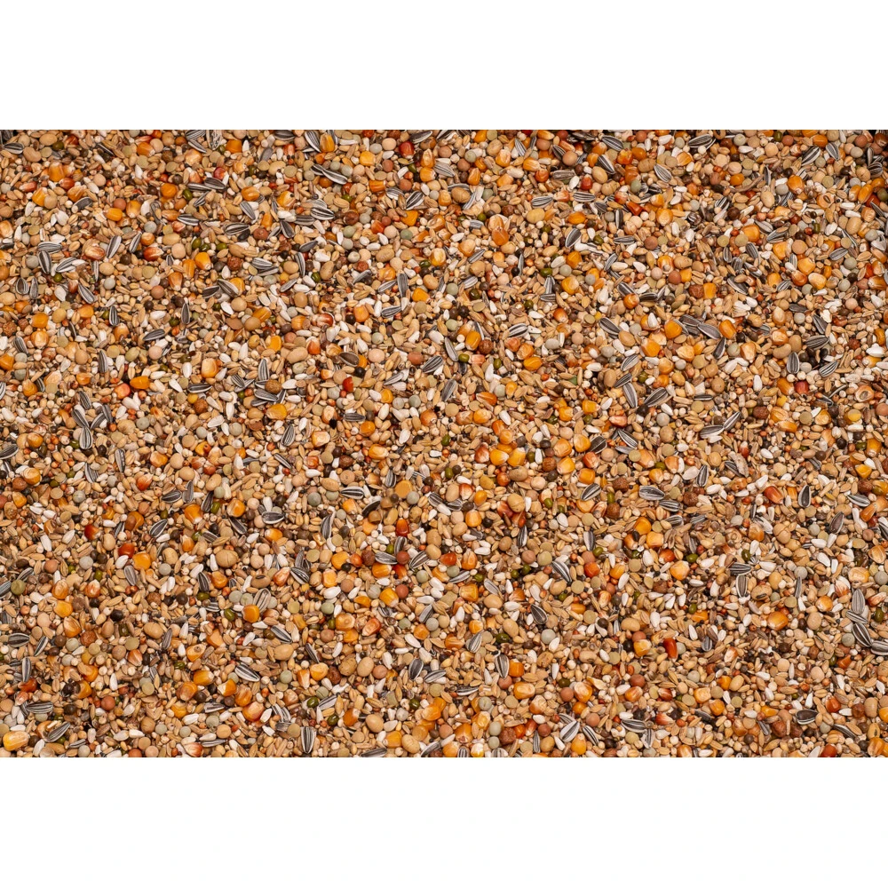 Beyers Premium Thoné Olympic 4 Beyers Premium Thoné Olympic - Afbeelding 2