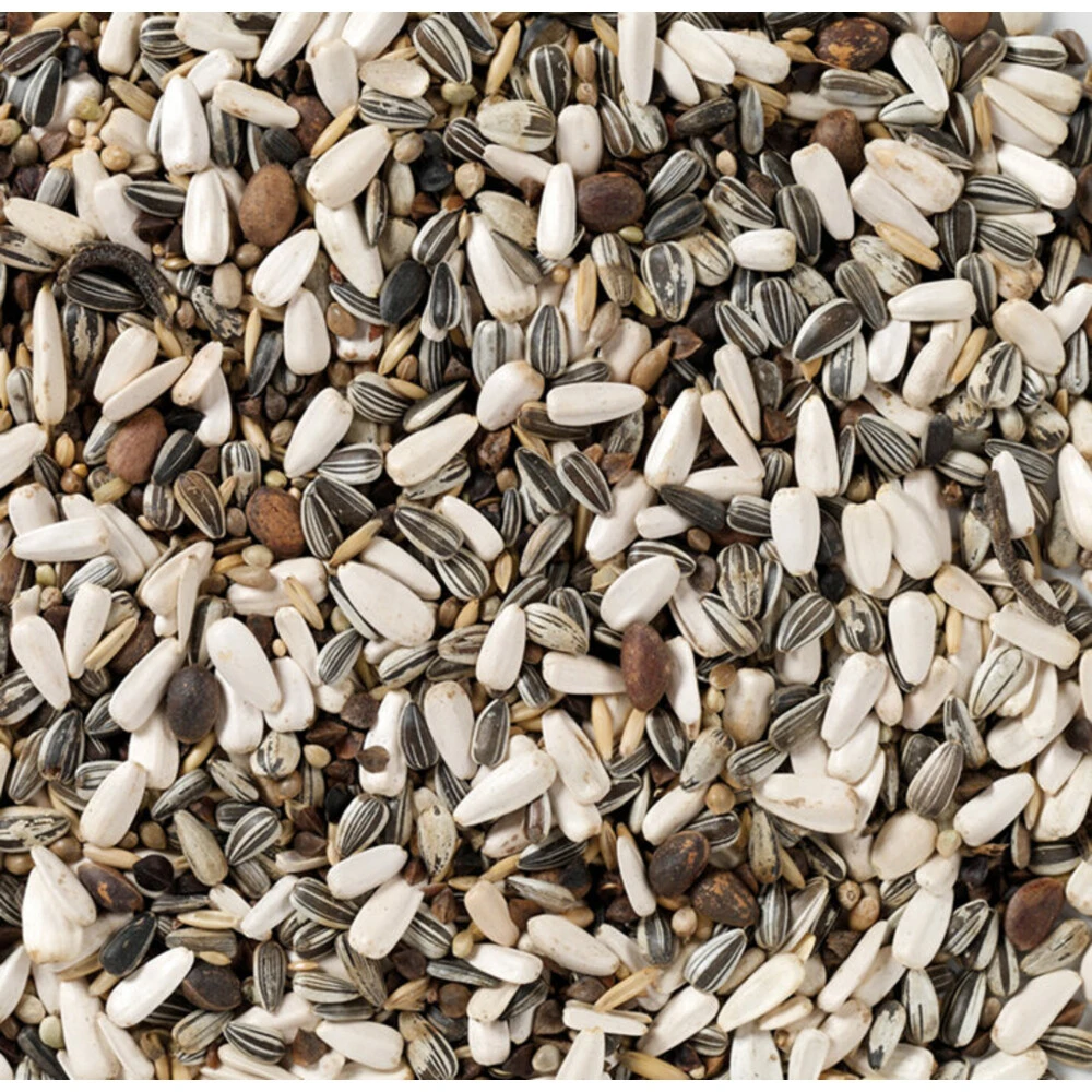 Deli Nature Kweek Papegaai Nummer 62 4 Deli Nature Kweek Papegaai Nummer 62 - Afbeelding 2