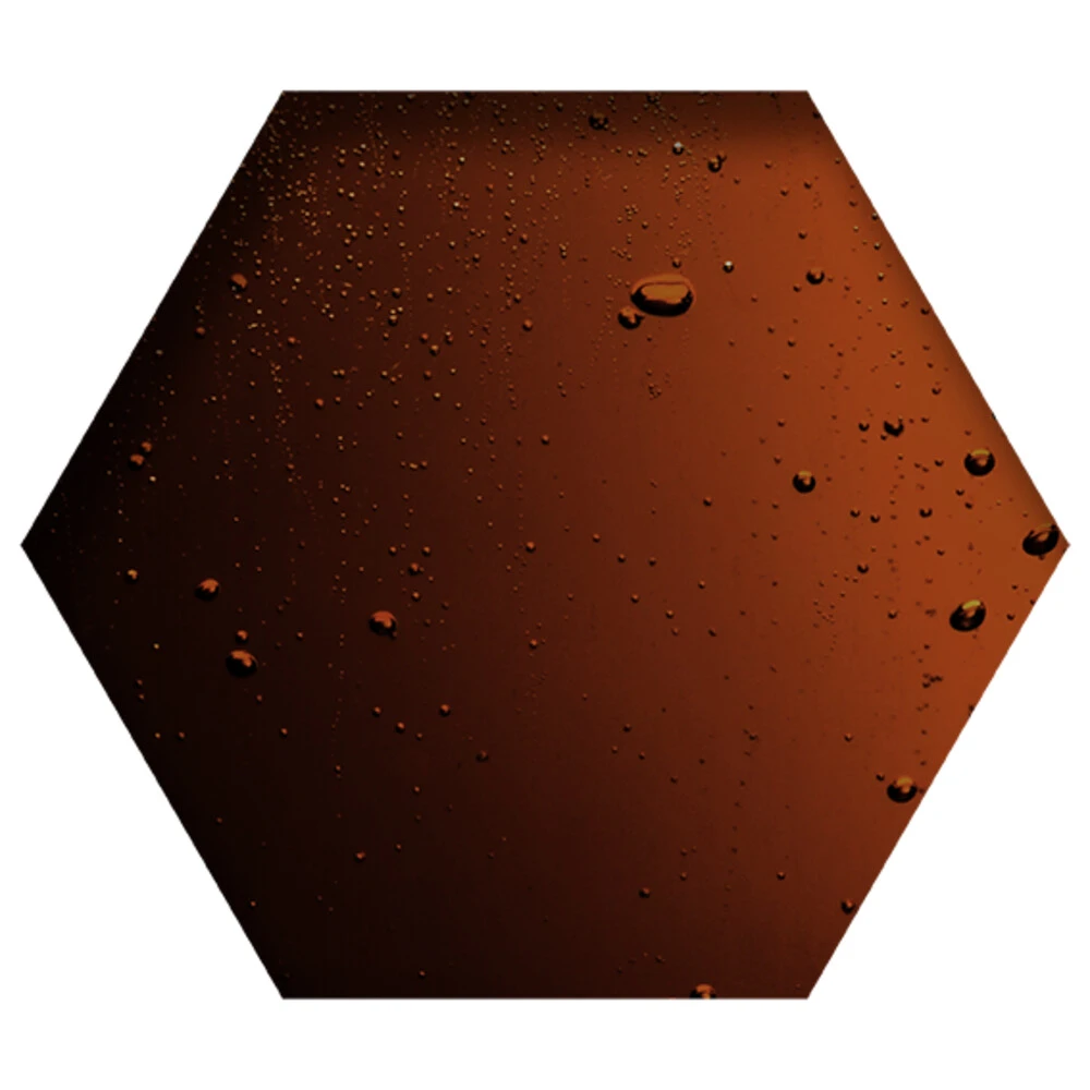 Beyers Herba Zyma 4 Beyers Herba Zyma - Afbeelding 2