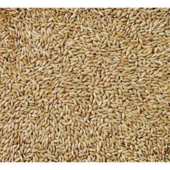 Deli Nature Witzaad Extra 86 -Dierenbenodigdheden Winkel 1011017 2