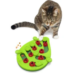 Nina Ottosson Kattenspel Puzzle & Play Buggin Out -Dierenbenodigdheden Winkel 1016797 4