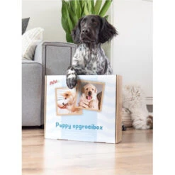 Prins Opgroeibox Protection Croque Puppy 9 Prins Opgroeibox Protection Croque Puppy -Dierenbenodigdheden Winkel 1016885 4