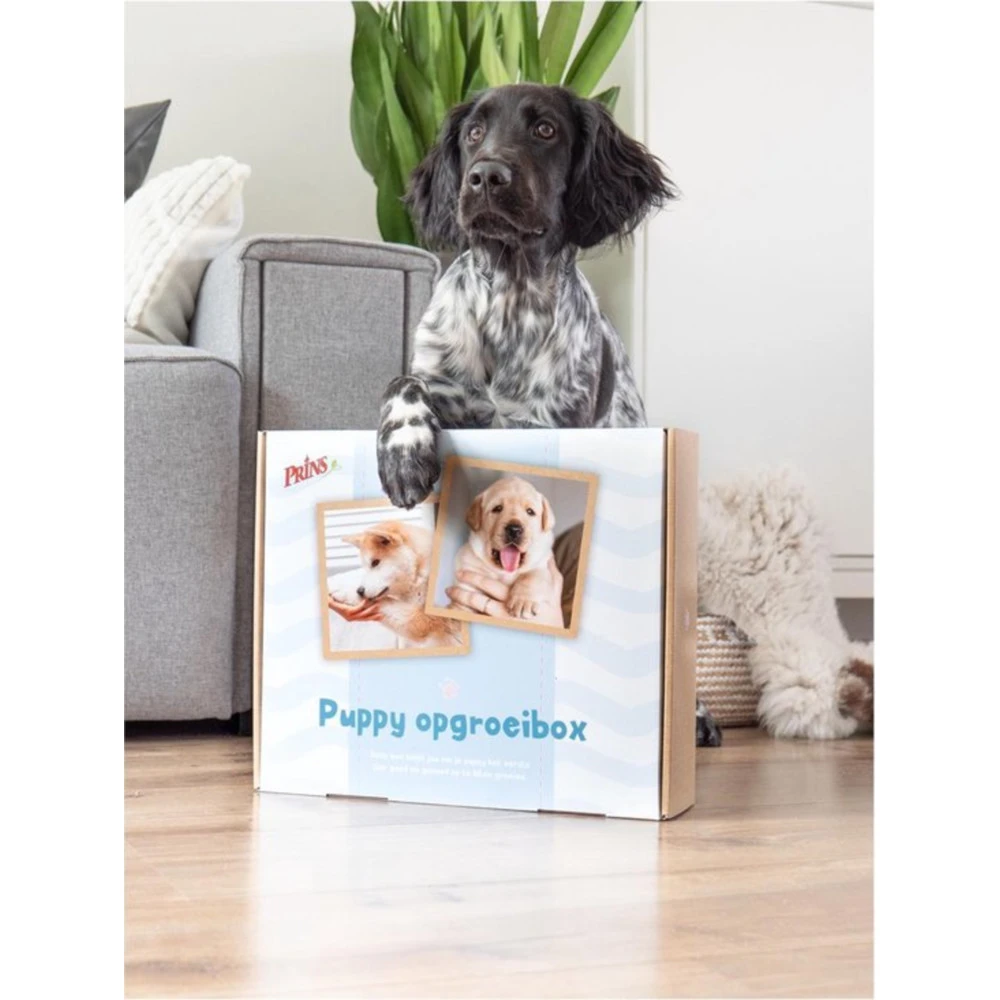 Prins Opgroeibox Protection Croque Puppy 6 Prins Opgroeibox Protection Croque Puppy - Afbeelding 4