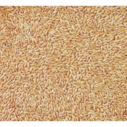 Deli Nature Witzaad - Kanariezaad 5 Deli Nature Witzaad - Kanariezaad -Dierenbenodigdheden Winkel 1017067 2