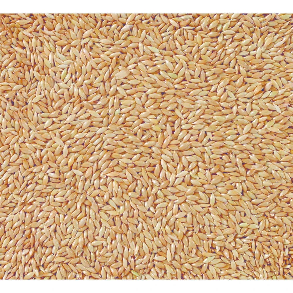 Deli Nature Witzaad - Kanariezaad 4 Deli Nature Witzaad - Kanariezaad - Afbeelding 2