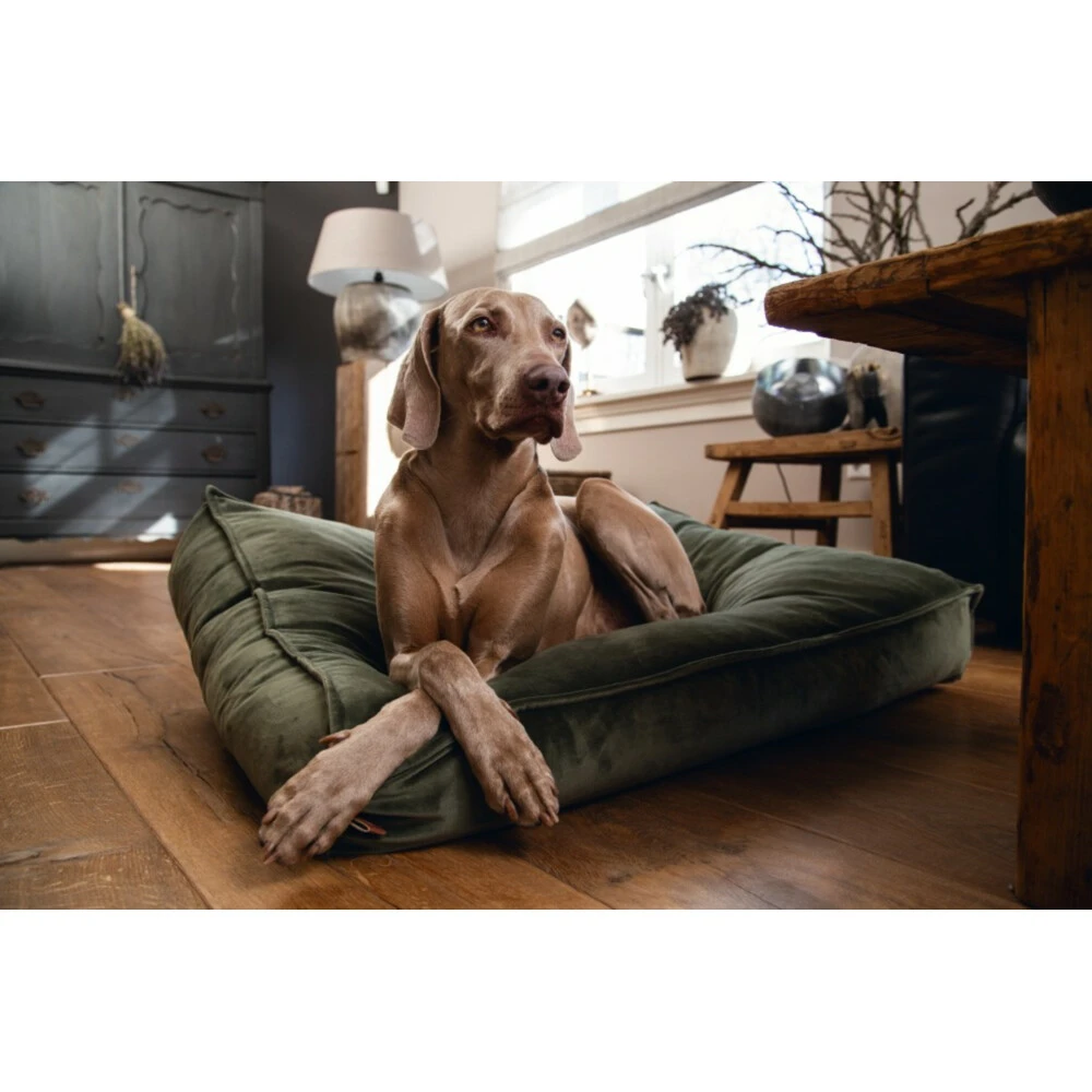 Designed By Lotte Ligkussen Fluweel Nalino Groen 4 Designed By Lotte Ligkussen Fluweel Nalino Groen - Afbeelding 2