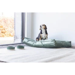 Designed By Lotte Ligkussen Fluweel Nalino Groen 10 Designed By Lotte Ligkussen Fluweel Nalino Groen -Dierenbenodigdheden Winkel 1017101 4