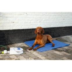 Beeztees Waterfontein Splashy -Dierenbenodigdheden Winkel 1017124 4