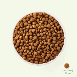 Yarrah Bio Hondenvoer Adult Small Breed Kip 8 Yarrah Bio Hondenvoer Adult Small Breed Kip -Dierenbenodigdheden Winkel 1020195 3