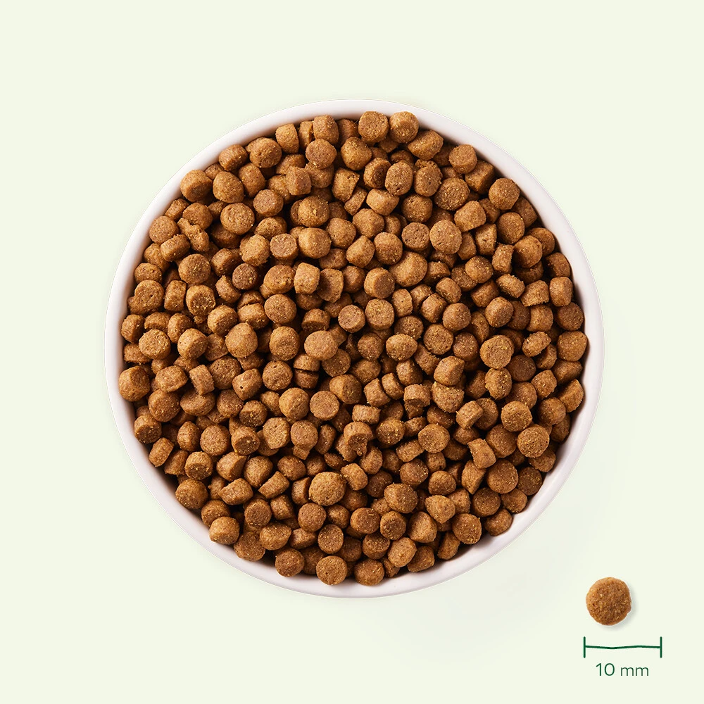 Yarrah Bio Hondenvoer Adult Small Breed Kip 5 Yarrah Bio Hondenvoer Adult Small Breed Kip - Afbeelding 3