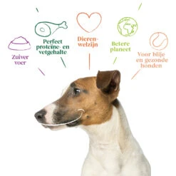 Yarrah Bio Hondenvoer Adult Small Breed Kip 9 Yarrah Bio Hondenvoer Adult Small Breed Kip -Dierenbenodigdheden Winkel 1020195 4