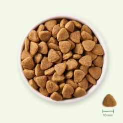 Yarrah Bio Hondenvoer Vegetarisch Tarwe Vrij 8 Yarrah Bio Hondenvoer Vegetarisch Tarwe Vrij -Dierenbenodigdheden Winkel 1020510 3