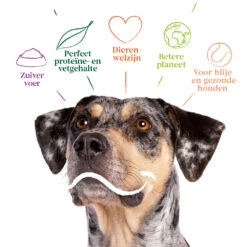 Yarrah Bio Hondenvoer Vegetarisch Tarwe Vrij 9 Yarrah Bio Hondenvoer Vegetarisch Tarwe Vrij -Dierenbenodigdheden Winkel 1020510 4