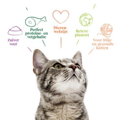 Yarrah Bio Kattenvoer Adult Kip -Dierenbenodigdheden Winkel 1020516 4