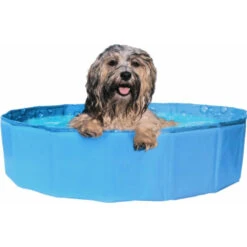 Kowloon Cool Pool Zwembad Bubble M -Dierenbenodigdheden Winkel 1029371 3