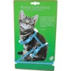 Boon Kittentuig Nylon + Lijn Neon Blauw 2 Boon Kittentuig Nylon + Lijn Neon Blauw -Dierenbenodigdheden Winkel 1029399