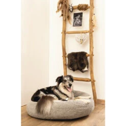 Beeztees Orthopedische Ligmand Jaxx Grijs -Dierenbenodigdheden Winkel 1031608 4