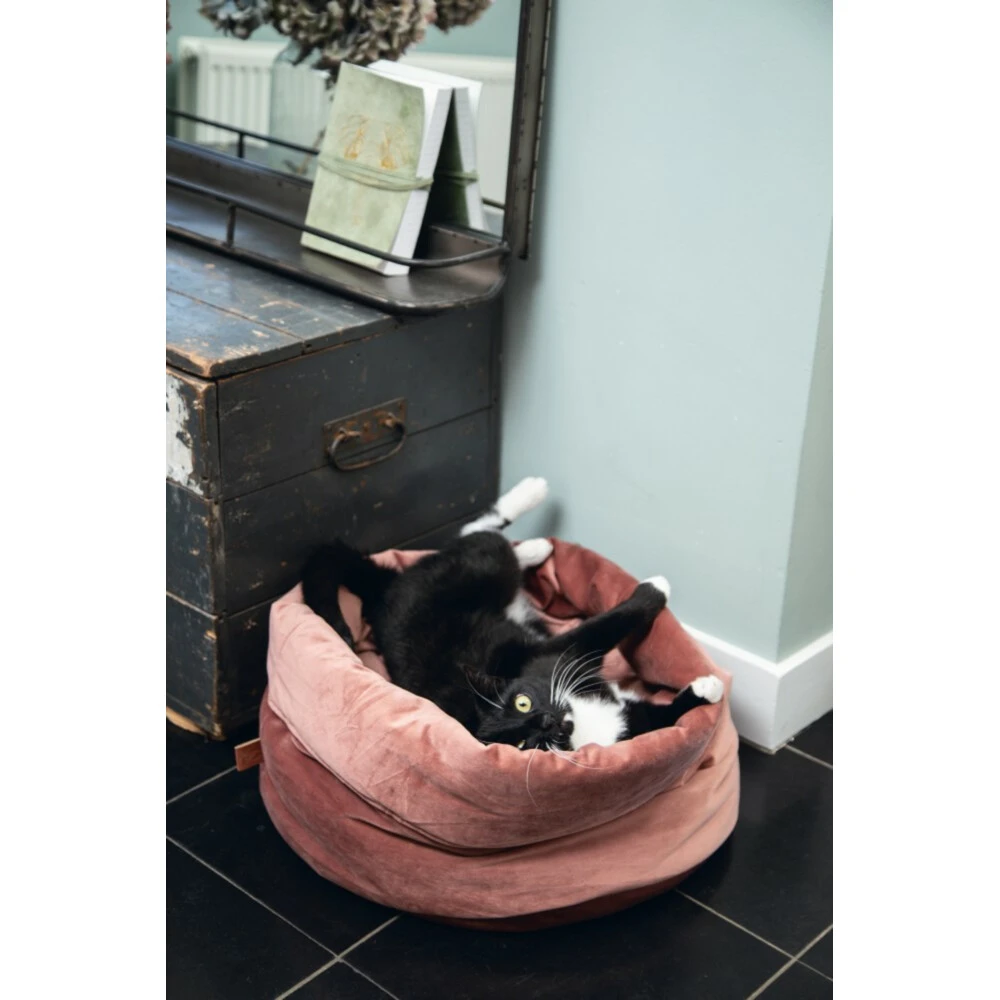 Designed By Lotte Kattenmand Fluweel Fluco Roze 4 Designed By Lotte Kattenmand Fluweel Fluco Roze - Afbeelding 2