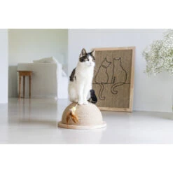 Designed By Lotte Krabplank Hout Poezels -Dierenbenodigdheden Winkel 1031631 6