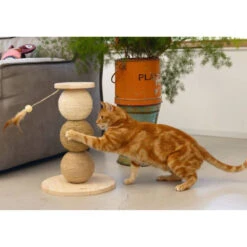 Designed By Lotte Krabbollen Hout Elio -Dierenbenodigdheden Winkel 1031633 4