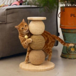 Designed By Lotte Krabbollen Hout Elio -Dierenbenodigdheden Winkel 1031633 5