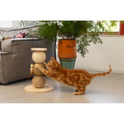 Designed By Lotte Krabbollen Hout Elio -Dierenbenodigdheden Winkel 1031633 6