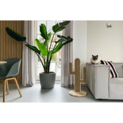 Designed By Lotte Krabpaal Hout Cactus Oze -Dierenbenodigdheden Winkel 1031636 4