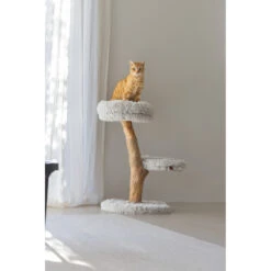 Designed By Lotte Krabmeubel Hout Zora 11 Designed By Lotte Krabmeubel Hout Zora -Dierenbenodigdheden Winkel 1031637 4